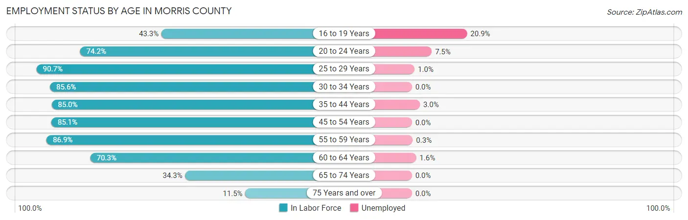 Employment Status by Age in Morris County