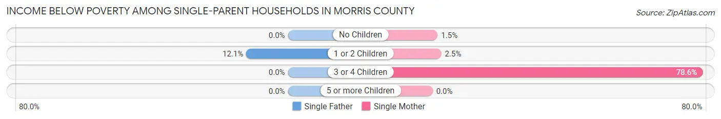 Income Below Poverty Among Single-Parent Households in Morris County