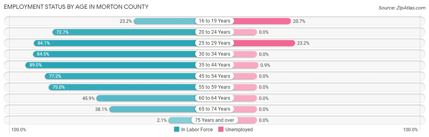 Employment Status by Age in Morton County