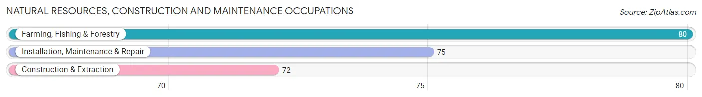Natural Resources, Construction and Maintenance Occupations in Morton County