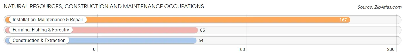 Natural Resources, Construction and Maintenance Occupations in Ottawa County