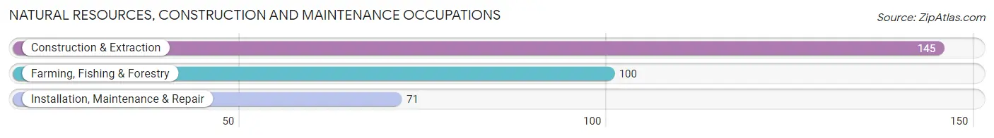 Natural Resources, Construction and Maintenance Occupations in Pawnee County