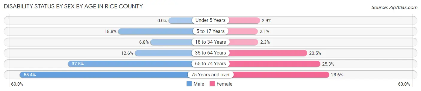 Disability Status by Sex by Age in Rice County