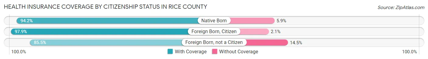 Health Insurance Coverage by Citizenship Status in Rice County
