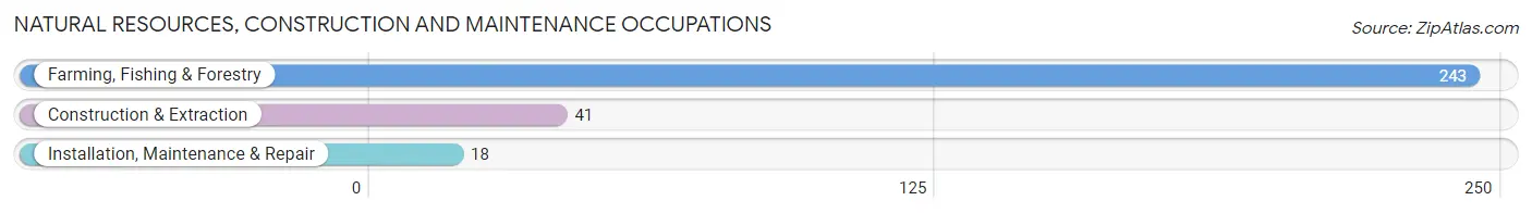Natural Resources, Construction and Maintenance Occupations in Stanton County