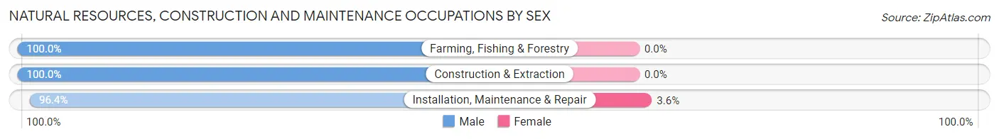 Natural Resources, Construction and Maintenance Occupations by Sex in Wabaunsee County