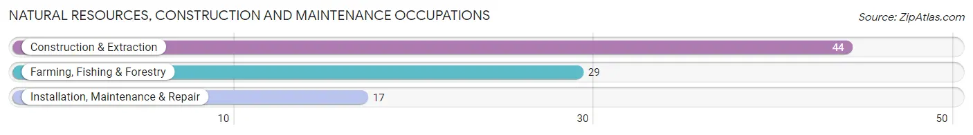 Natural Resources, Construction and Maintenance Occupations in Wallace County