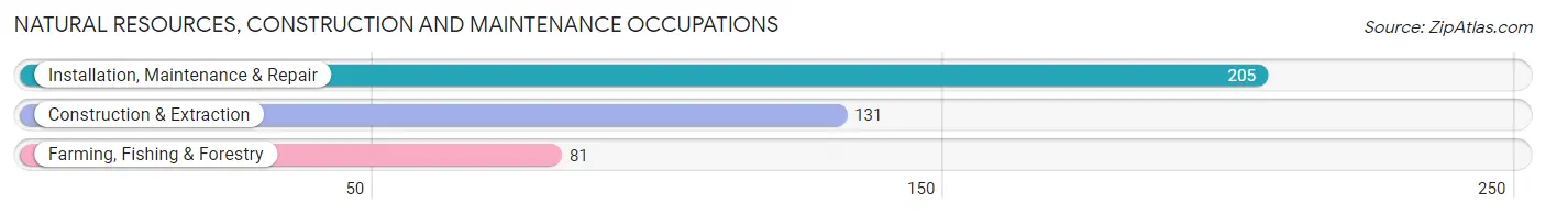 Natural Resources, Construction and Maintenance Occupations in Wilson County
