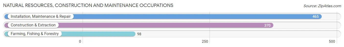 Natural Resources, Construction and Maintenance Occupations in Allen County