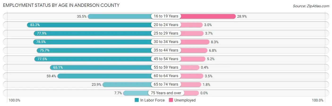 Employment Status by Age in Anderson County