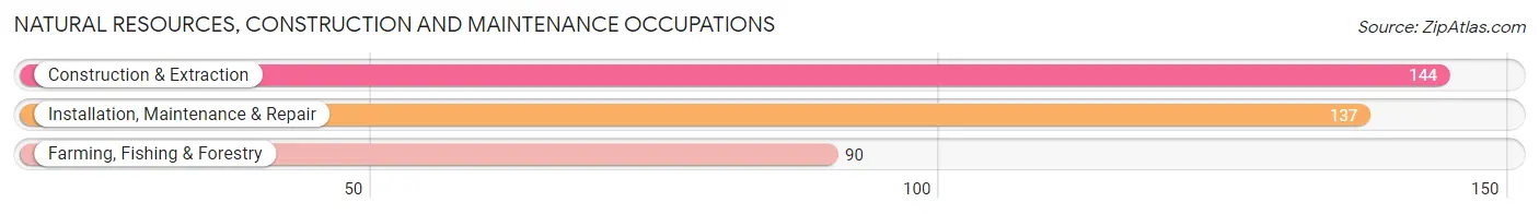 Natural Resources, Construction and Maintenance Occupations in Bath County