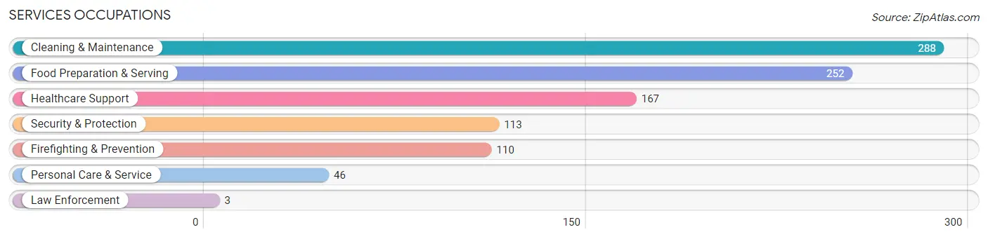 Services Occupations in Bath County