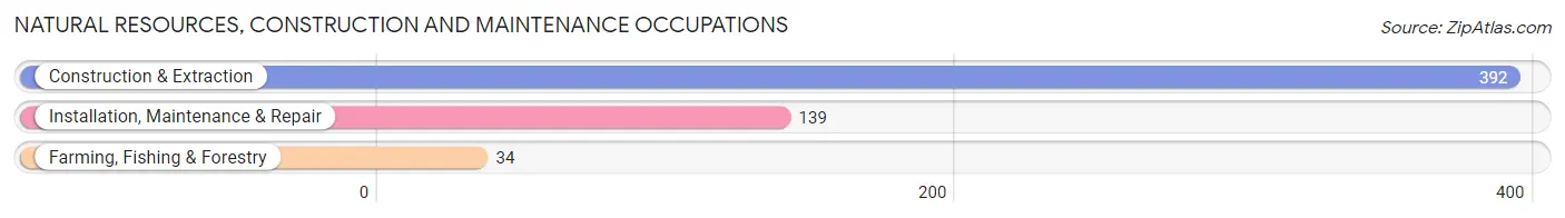 Natural Resources, Construction and Maintenance Occupations in Bell County