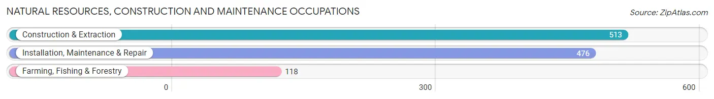 Natural Resources, Construction and Maintenance Occupations in Boyle County