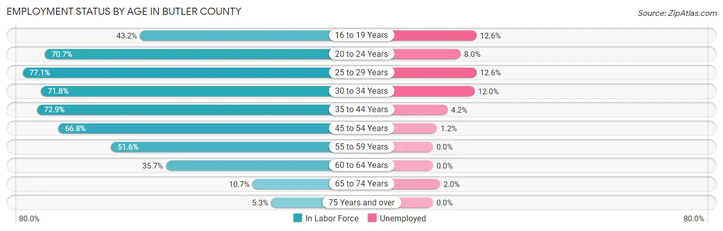 Employment Status by Age in Butler County