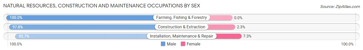 Natural Resources, Construction and Maintenance Occupations by Sex in Caldwell County