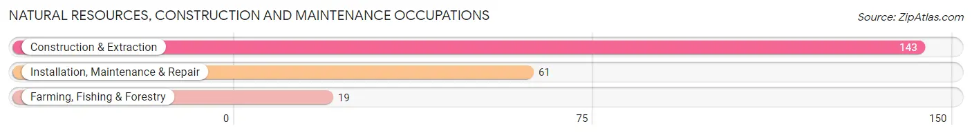 Natural Resources, Construction and Maintenance Occupations in Carlisle County