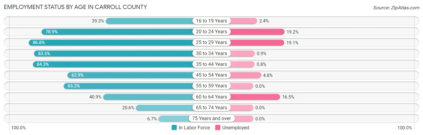 Employment Status by Age in Carroll County