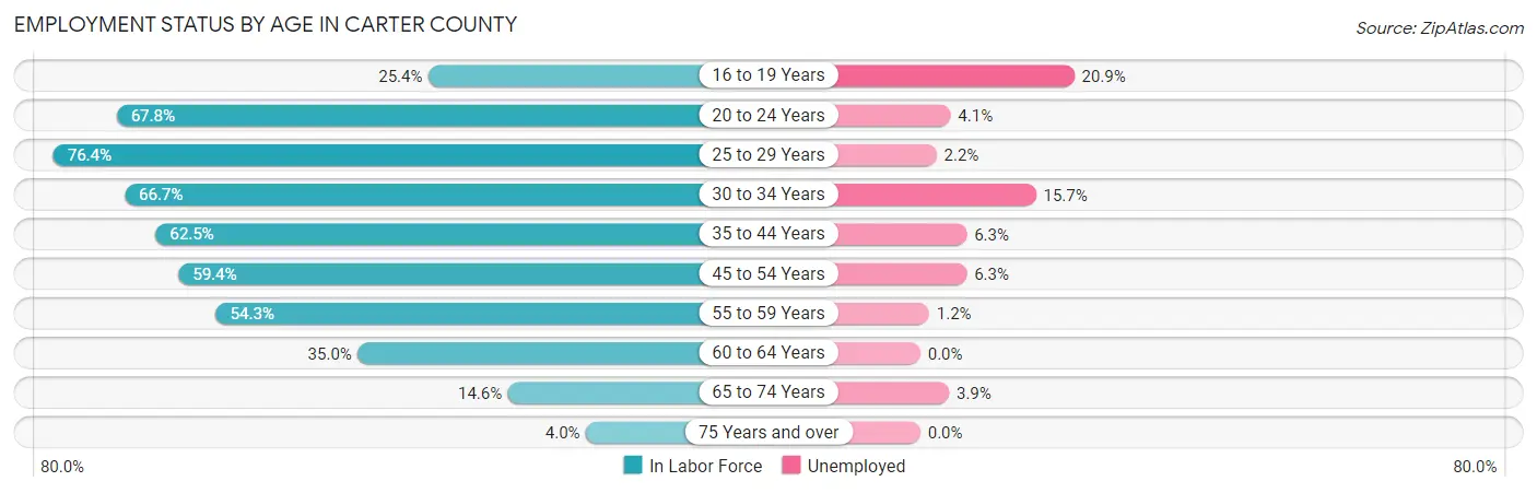 Employment Status by Age in Carter County