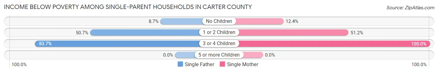 Income Below Poverty Among Single-Parent Households in Carter County