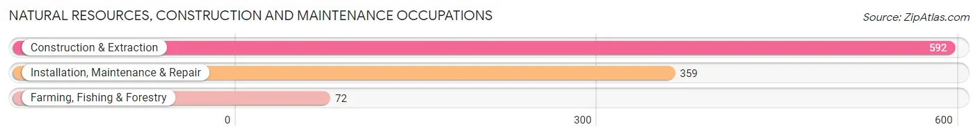 Natural Resources, Construction and Maintenance Occupations in Carter County