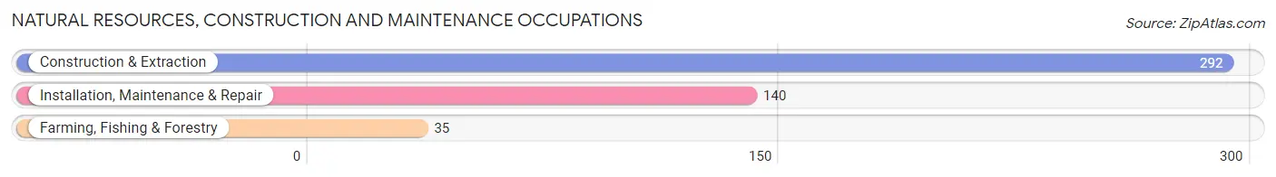 Natural Resources, Construction and Maintenance Occupations in Clinton County
