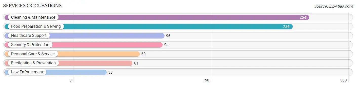 Services Occupations in Clinton County