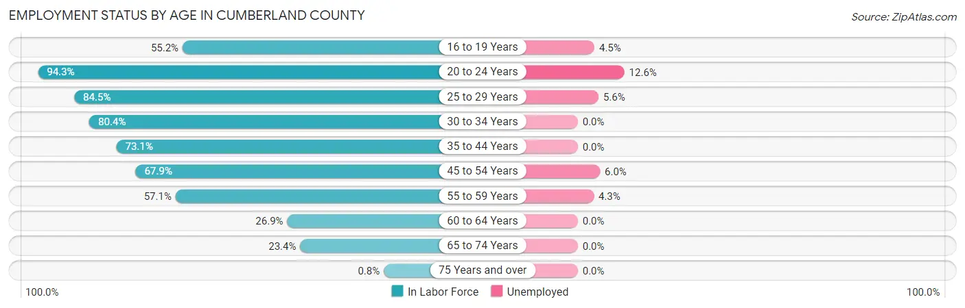 Employment Status by Age in Cumberland County