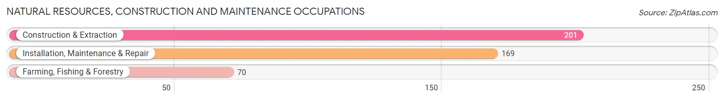 Natural Resources, Construction and Maintenance Occupations in Cumberland County