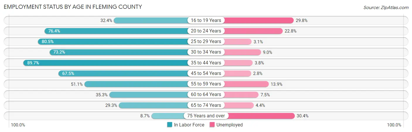 Employment Status by Age in Fleming County
