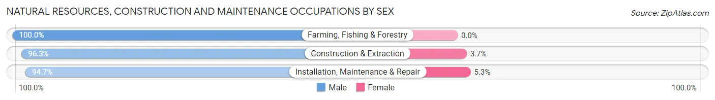 Natural Resources, Construction and Maintenance Occupations by Sex in Fleming County