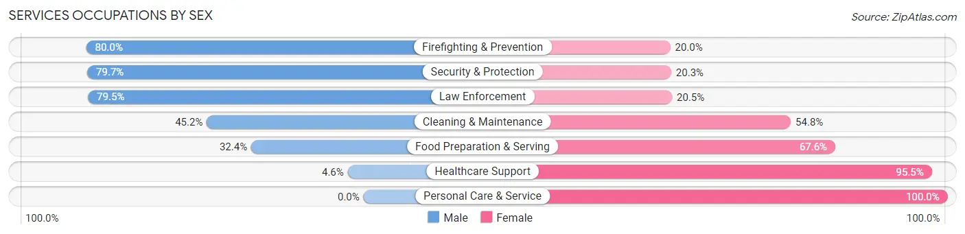 Services Occupations by Sex in Fleming County