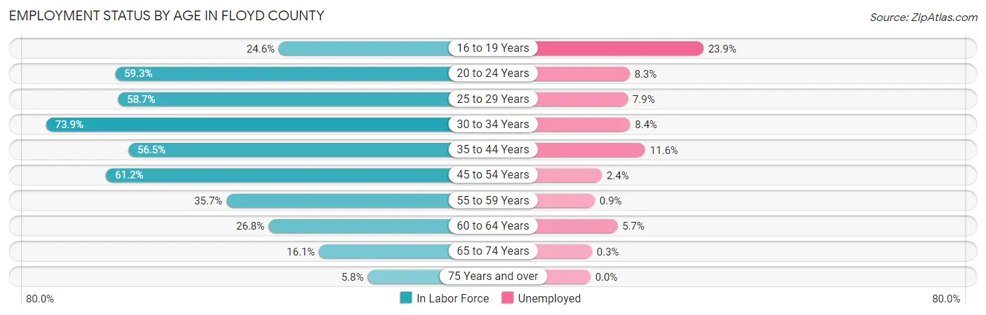 Employment Status by Age in Floyd County