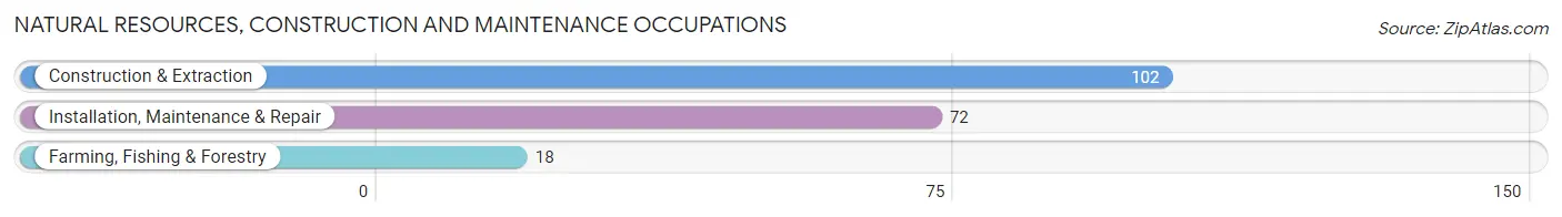 Natural Resources, Construction and Maintenance Occupations in Fulton County