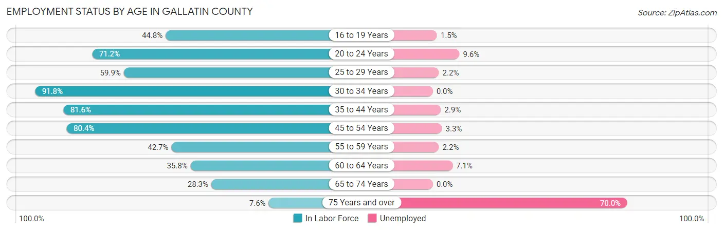 Employment Status by Age in Gallatin County