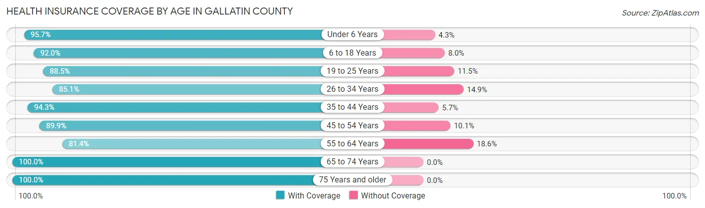 Health Insurance Coverage by Age in Gallatin County