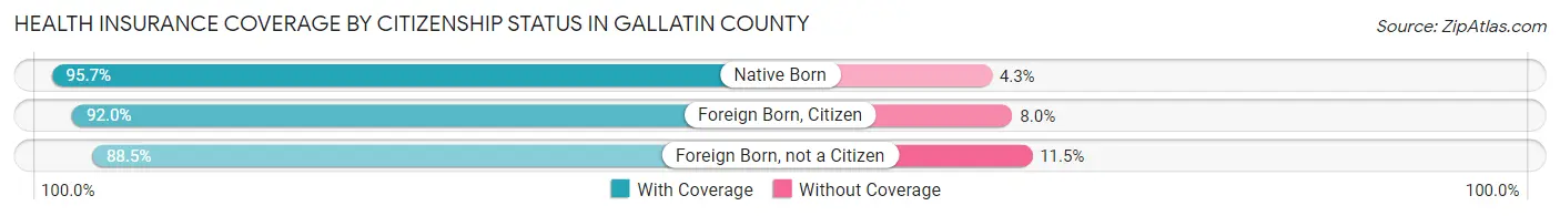 Health Insurance Coverage by Citizenship Status in Gallatin County