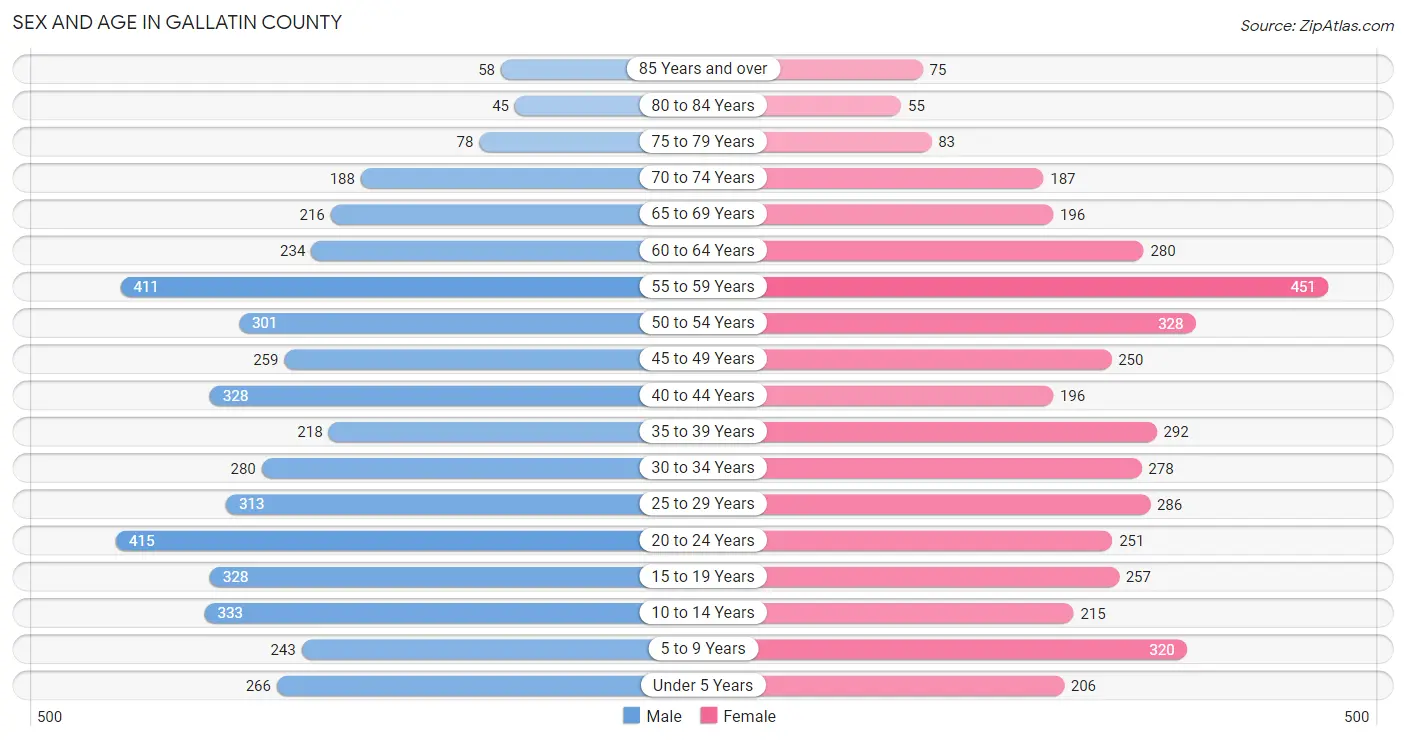 Sex and Age in Gallatin County