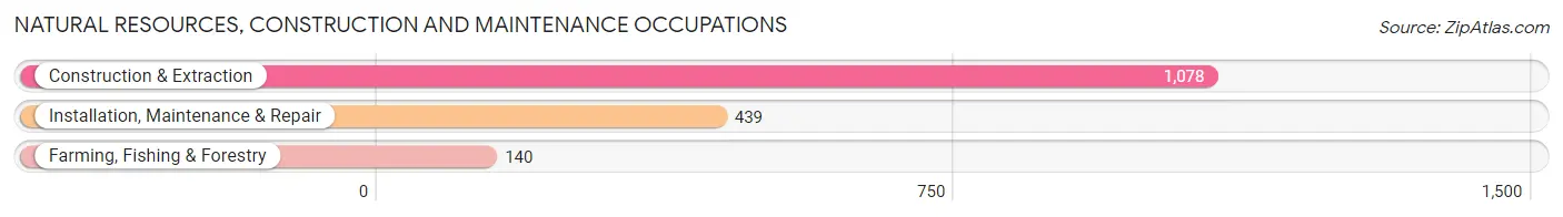 Natural Resources, Construction and Maintenance Occupations in Grayson County