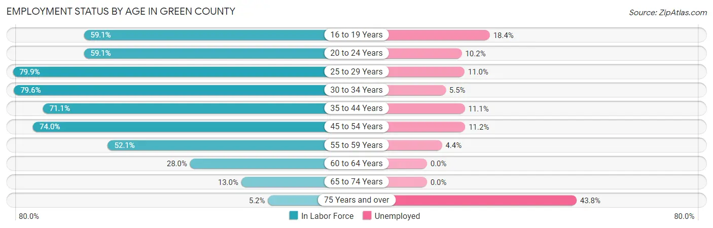 Employment Status by Age in Green County