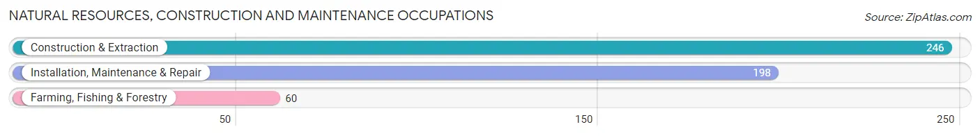 Natural Resources, Construction and Maintenance Occupations in Green County