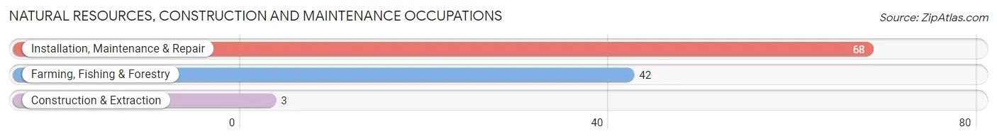 Natural Resources, Construction and Maintenance Occupations in Hickman County