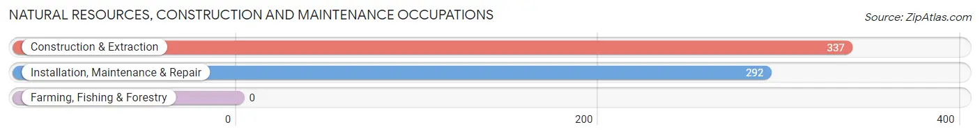 Natural Resources, Construction and Maintenance Occupations in Johnson County