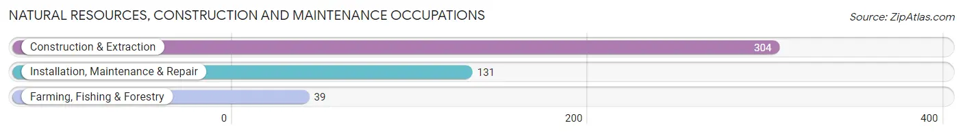 Natural Resources, Construction and Maintenance Occupations in Knott County