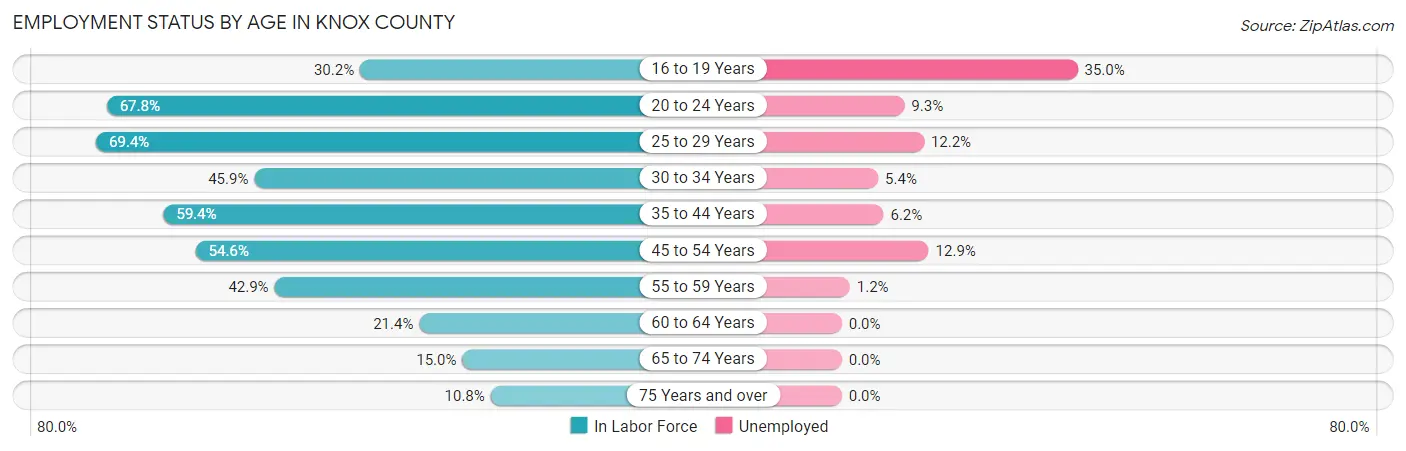 Employment Status by Age in Knox County