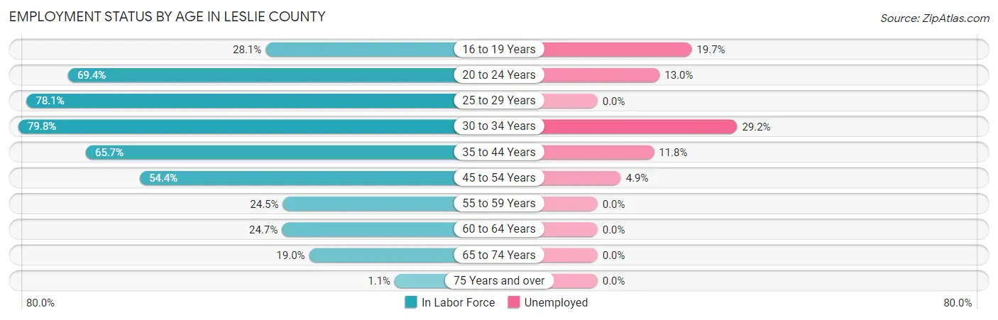 Employment Status by Age in Leslie County