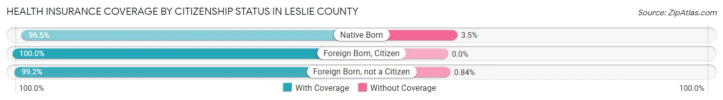 Health Insurance Coverage by Citizenship Status in Leslie County