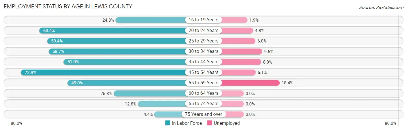 Employment Status by Age in Lewis County