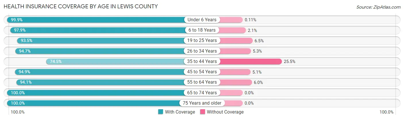 Health Insurance Coverage by Age in Lewis County
