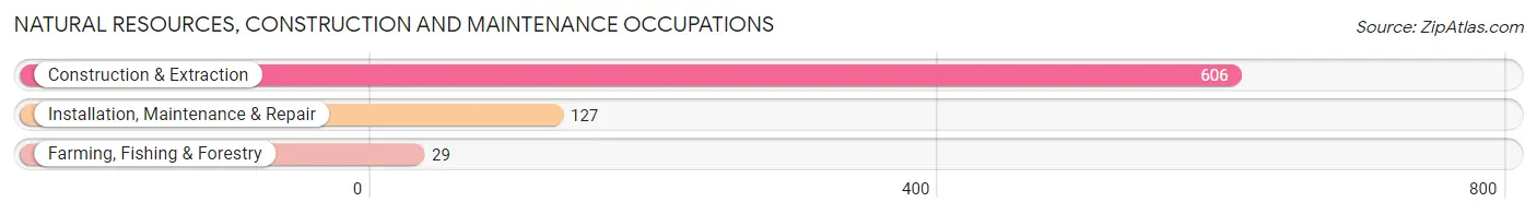 Natural Resources, Construction and Maintenance Occupations in Lewis County
